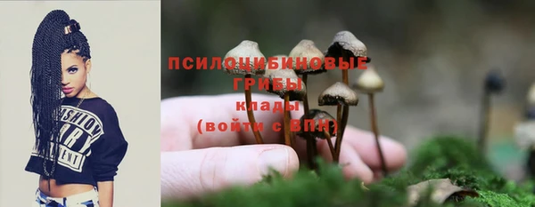 jwh Володарск